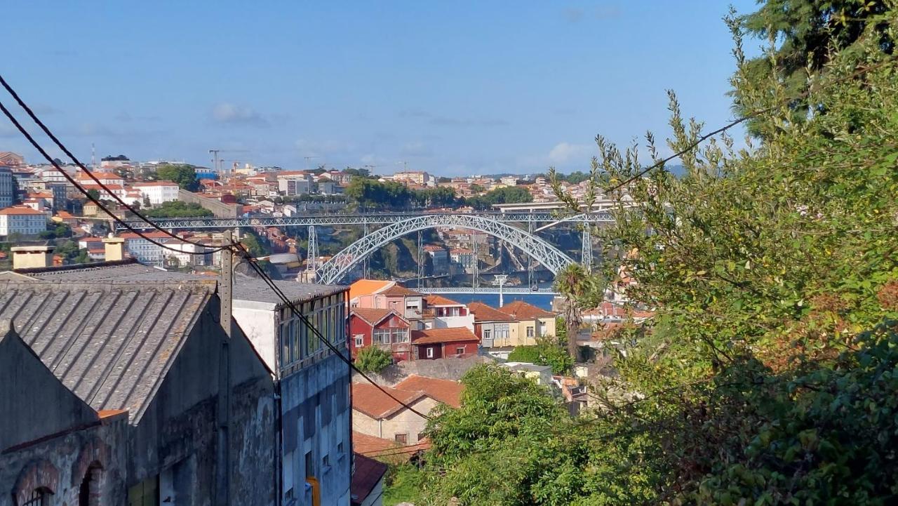 Вилла Vitoria Douro 2 Вила-Нова-ди-Гая Экстерьер фото